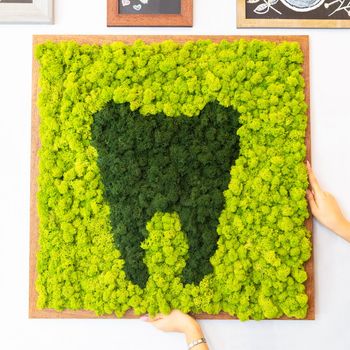 Natural tooth shaped moss for wall