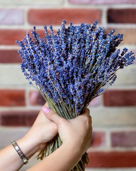 Woman holding lavender flower with wall background
