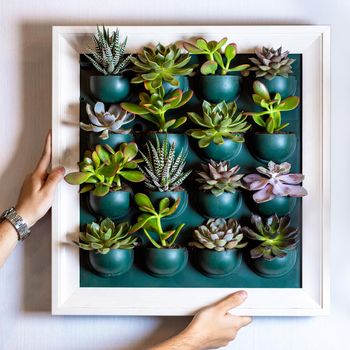 Woman holding a lot of succulents on the wall plate