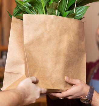 Garden store worker giving shopping bag to the client, plant inside