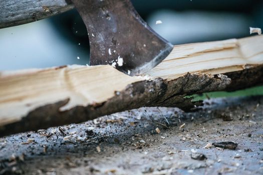 Sharpe axe is cutting wood for making fire, close up picture