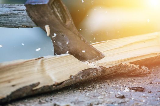 Sharpe axe is cutting wood for making fire, close up picture. Sunlight.