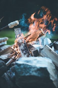 Having a barbecue on the bonfire, outdoors. Baking bread.