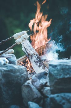 Having a barbecue on the bonfire, outdoors. Baking bread.