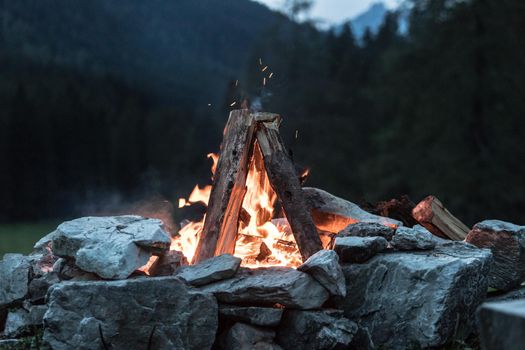 Forest bonfire in the summer, camping time with friends. Copy space.