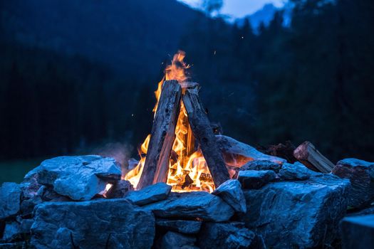 Forest bonfire in the summer, camping time with friends. Copy space.