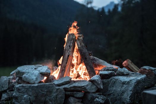Forest bonfire in the summer, camping time with friends. Copy space.