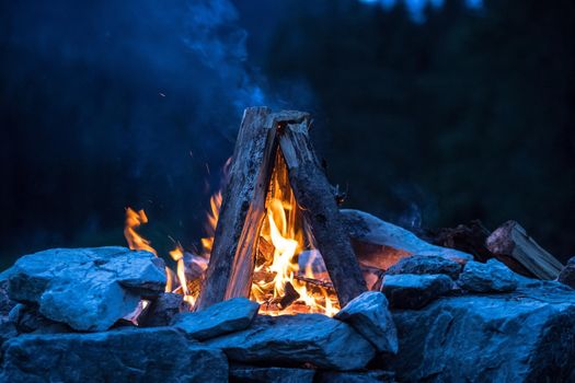 Forest bonfire in the summer, camping time with friends. Copy space.