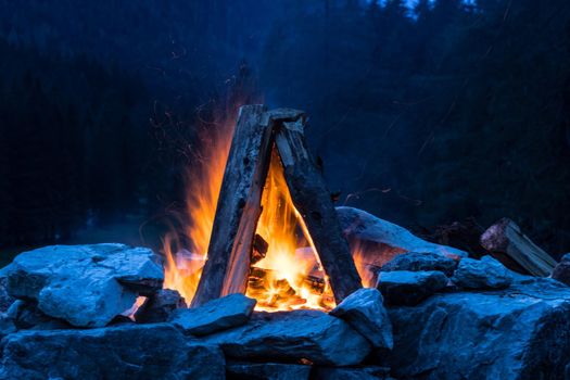 Forest bonfire in the summer, camping time with friends. Copy space.