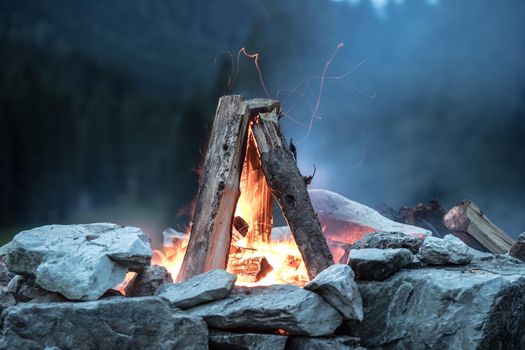 Forest bonfire in the summer, camping time with friends. Copy space.