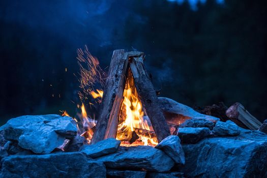 Forest bonfire in the summer, camping time with friends. Copy space.