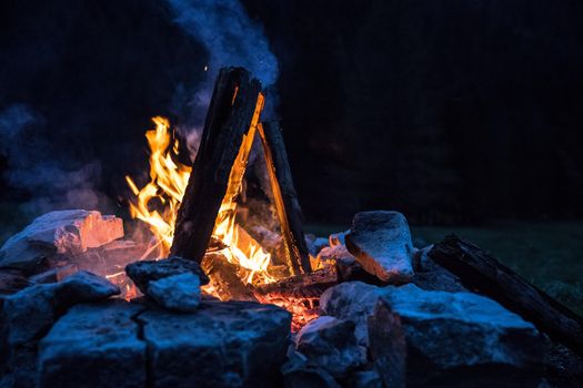 Forest bonfire in the summer, camping time with friends. Copy space.