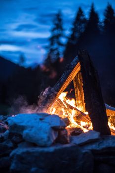 Forest bonfire in the summer, camping time with friends. Copy space.