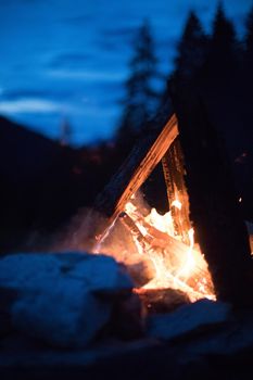 Forest bonfire in the summer, camping time with friends. Copy space.