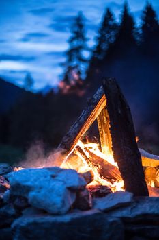 Forest bonfire in the summer, camping time with friends. Copy space.