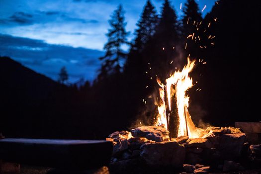 Forest bonfire in the summer, camping time with friends. Copy space.