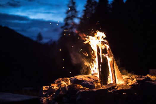 Forest bonfire in the summer, camping time with friends. Copy space.