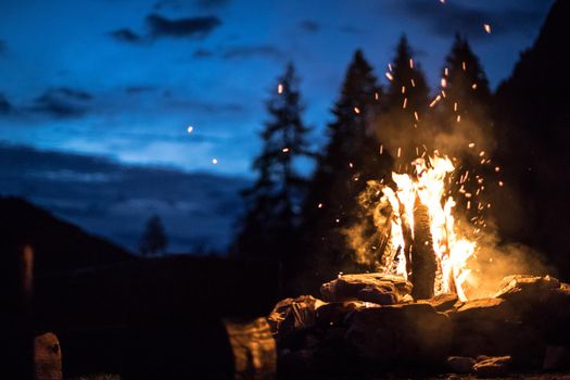 Forest bonfire in the summer, camping time with friends. Copy space.