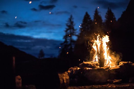 Forest bonfire in the summer, camping time with friends. Copy space.