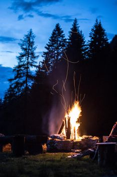 Forest bonfire in the summer, camping time with friends. Copy space.