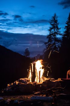 Forest bonfire in the summer, camping time with friends. Copy space.