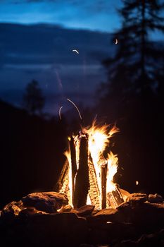 Forest bonfire in the summer, camping time with friends. Copy space.