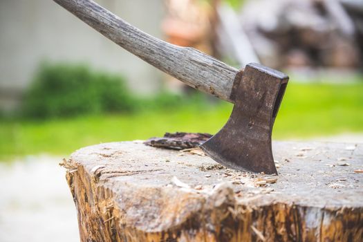 Old axe attached to a tree trunk, alpine hut