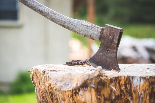 Old axe attached to a tree trunk, alpine hut