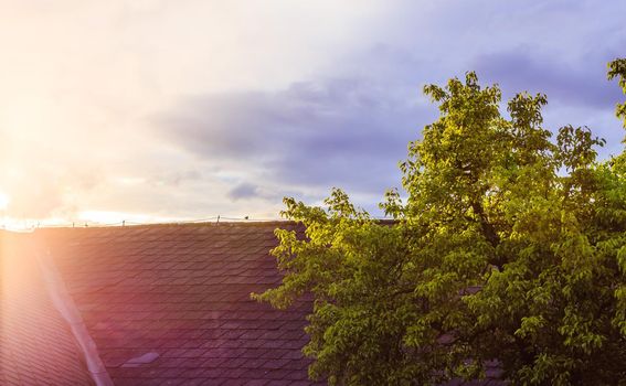 Roof of an old house, sunbeams and a tree with green leaves