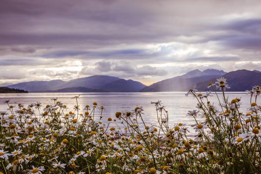 Beautiful mystic landscape lake scenery in Scotland with cloudy sky, flowers and sunbeams
