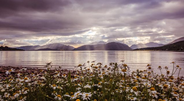 Beautiful mystic landscape lake scenery in Scotland with cloudy sky, flowers and sunbeams