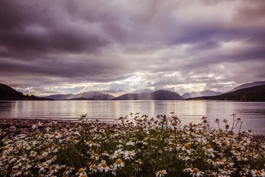 Beautiful mystic landscape lake scenery in Scotland with cloudy sky, flowers and sunbeams