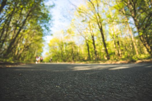 Asphalted street in the forest: Close up perspective, blurry background