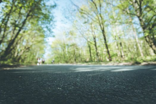Asphalted street in the forest: Close up perspective, blurry background