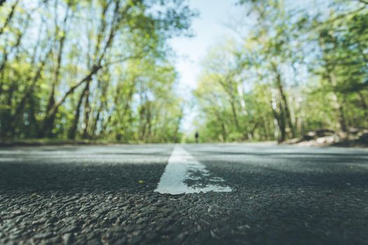 Asphalted street in the forest: Close up perspective, blurry background