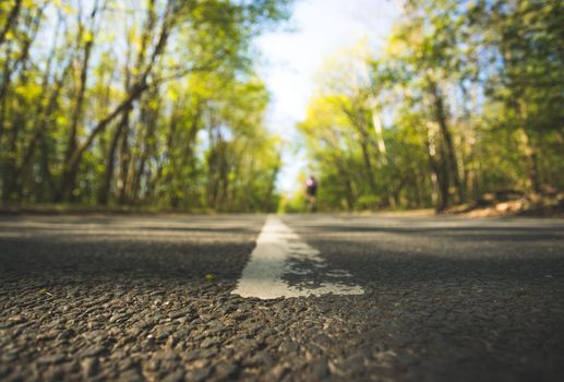 Asphalted street in the forest: Close up perspective, blurry background