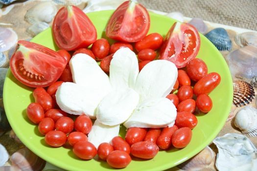 italian healthy food: mozzarella tomatoes bread oil and oregano