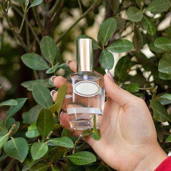 Woman holding perfume flacon with plant leaves