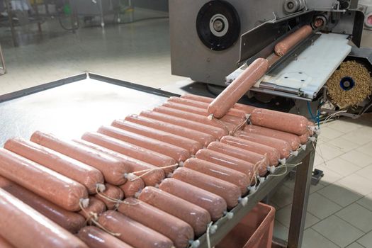 Making of Sausage, salami product, meat industry, machine