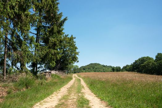 Hiking trail within the Vulkaneifel landscape, Germany