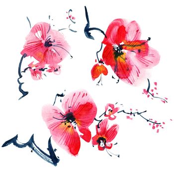 Watercolor and ink illustration of blossom sakura tree with flowers and buds. Oriental traditional painting in style sumi-e, u-sin and gohua.