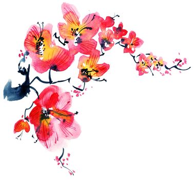 Watercolor and ink illustration of blossom sakura tree with flowers and buds. Oriental traditional painting in style sumi-e, u-sin and gohua.