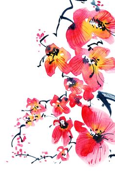 Watercolor and ink illustration of blossom sakura tree with flowers and buds. Oriental traditional painting in style sumi-e, u-sin and gohua.