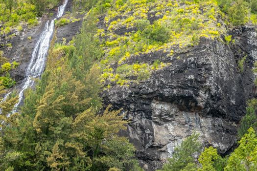 Waterfall on a green mountain at french island Reunion in the indian ocean 