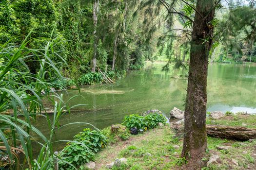 Landscape with idyllic lake, mountain range, green trees in the interior of the island Reunion in the indian ocean 