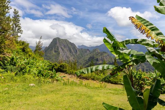 Scenic view of a green landscape with mountain range in the background, trees, colored plants in front at island Reunion in the indian ocean on a sunny day with blue sky and white clouds