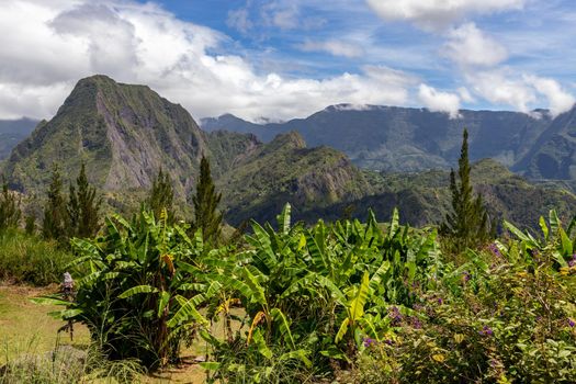 Scenic view of a green landscape with mountain range in the background, trees, colored plants in front at island Reunion in the indian ocean on a sunny day with blue sky and white clouds