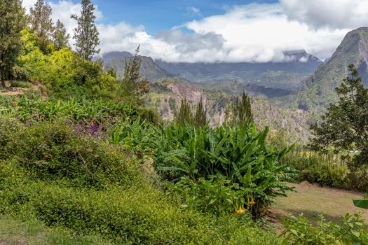 Scenic view of a green landscape with mountain range in the background, trees, colored plants in front at island Reunion in the indian ocean on a sunny day with blue sky and white clouds