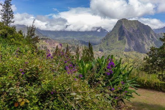 Scenic view of a green landscape with mountain range in the background, trees, colored plants in front at island Reunion in the indian ocean on a sunny day with blue sky and white clouds