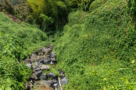 Green landscape with a creek in the interior of the island Reunion in the indian ocean 